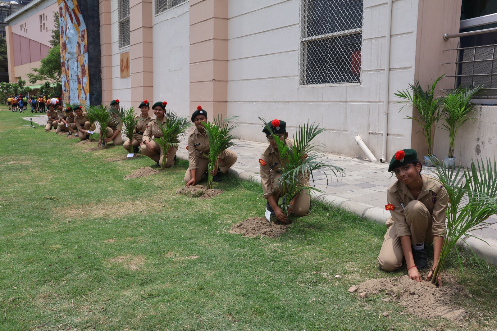 Tree Plantation Drive